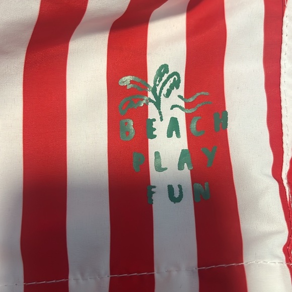 EUC Zara 2-3 Years Boys Swim Shorts - Picture 3 of 4